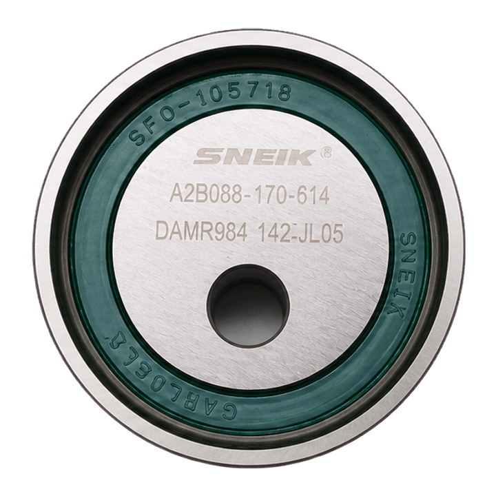 DNK RZX1008