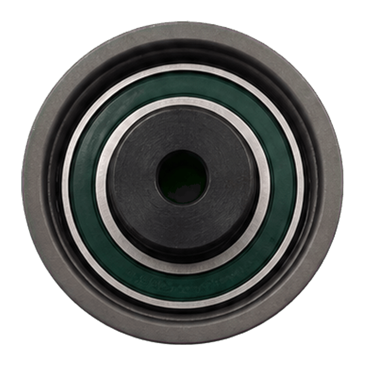 DNK RZX1079