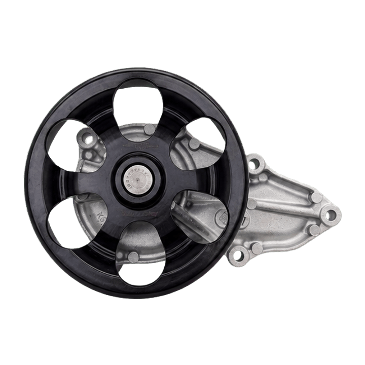 DNK RZX3011