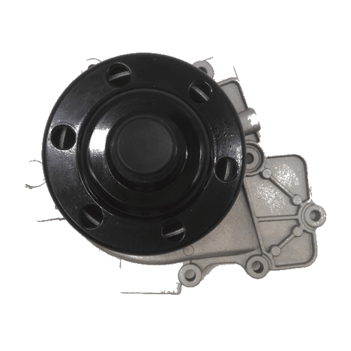 DNK RZX3081